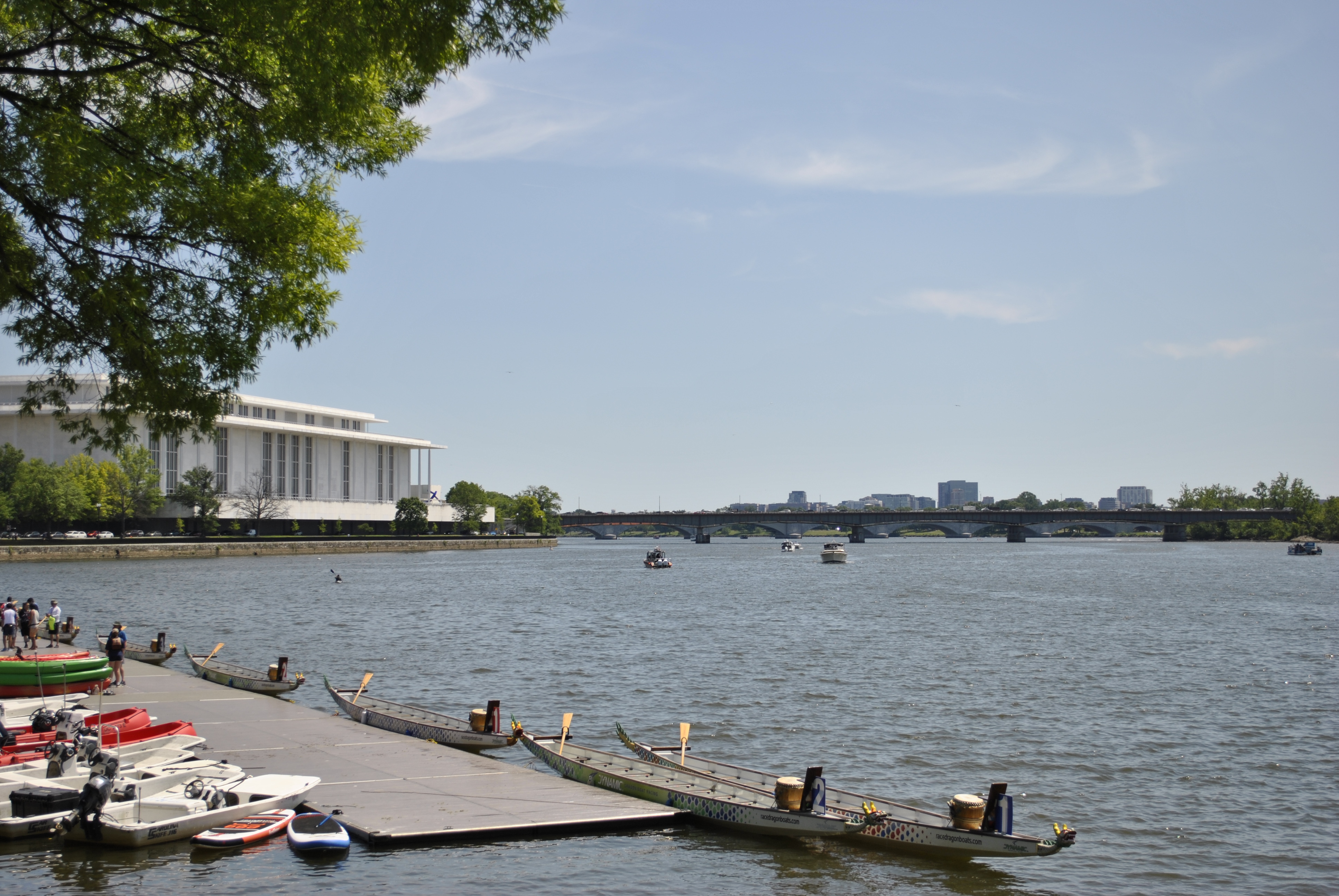 DC Dragon Boat Festival at Georgetown Waterfront Park